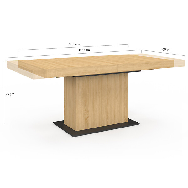 ID MARKET - Table à manger extensible rectangle EDEN 6-10 personnes bois et socle noir 160-200 cm - large