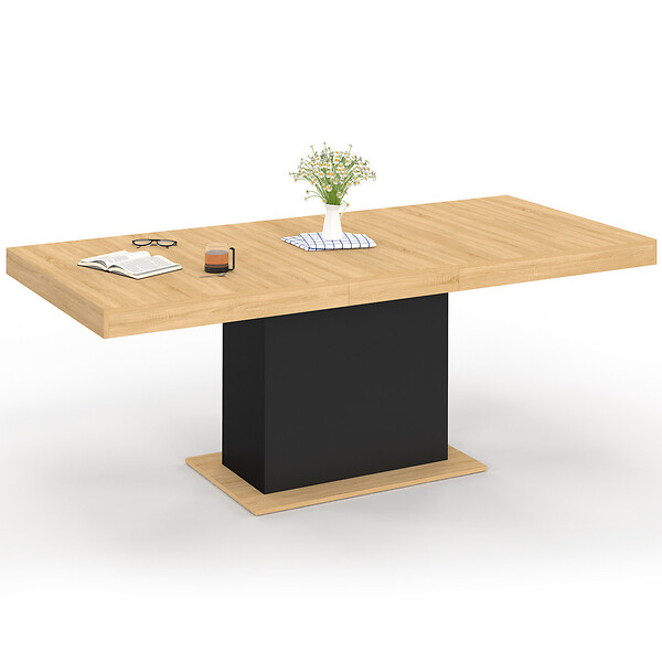 ID MARKET - Table à manger extensible rectangle EDEN 6-10 personnes bois et noir 160-200 cm - large