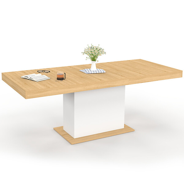 ID MARKET - Table à manger extensible rectangle EDEN 6-10 personnes bois et blanc 160-200 cm - large