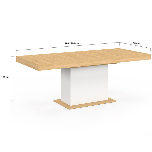 ID MARKET - Table à manger extensible rectangle EDEN 6-10 personnes bois et blanc 160-200 cm - large