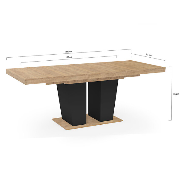 ID MARKET - Table à manger extensible rectangle ELIAD 6-10 personnes bois et noir 160-200 cm - large