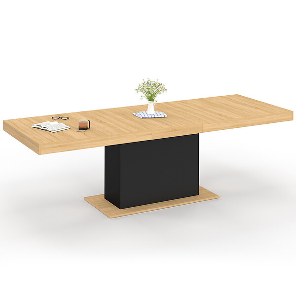 ID MARKET - Table à manger extensible rectangle EDEN 8-12 personnes bois et noir 200-250 cm - large