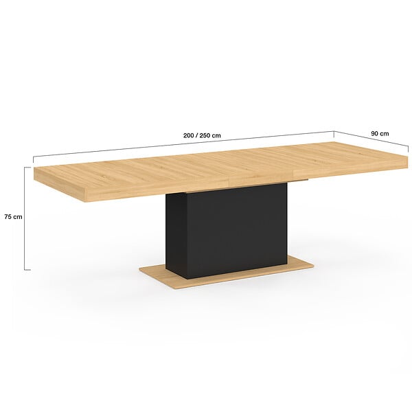 ID MARKET - Table à manger extensible rectangle EDEN 8-12 personnes bois et noir 200-250 cm - large