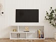 HABITAT ET JARDIN - Meuble TV en bois "Cafu" - 100 x 29 x 40 cm - Blanc - vignette