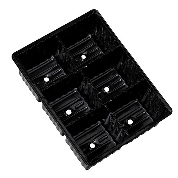 WINDHAGER - Plaque pour semis 4 x 6 alvéoles - large