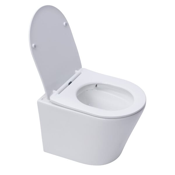 ROCA - Pack WC bâti-support + WC suspendu sans bride Swiss Aqua Technologies avec abattant SoftClose + plaque (ROSTINWR04-FR) - large