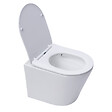 ROCA - Pack WC bâti-support + WC suspendu sans bride Swiss Aqua Technologies avec abattant SoftClose + plaque (ROSTINWR03-FR) - vignette