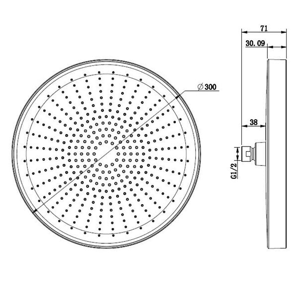 SWISS AQUA TECHNOLOGIES - Douche de tête 1 jet ronde, diamètre 30 cm, noir mat (SATBSHS81C) - large