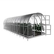 KLASIKA GREENHOUSES - Serre de jardin KLASIKA ARCH 3 x 8 m (24 m²), 4 mm avec revêtement en polycarbonate - vignette
