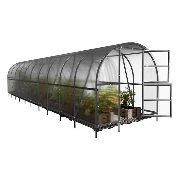 KLASIKA GREENHOUSES - Serre de jardin KLASIKA BALTIC LT 3 x 12 m (36 m²), 6 mm avec revêtement en polycarbonate - large