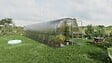 KLASIKA GREENHOUSES - Serre de jardin KLASIKA BALTIC LT 3 x 10 m (30 m²), 6 mm avec revêtement en polycarbonate - vignette