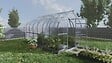 KLASIKA GREENHOUSES - Serre de jardin KLASIKA Standard 10m2, 2,5m x 4m, 4 mm avec revêtement en polycarbonate (Avec 2 toits ouvrants automatiques) - vignette