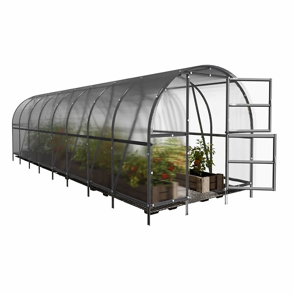 KLASIKA GREENHOUSES - Serre de jardin KLASIKA BALTIC LT 3 x 8 m (24 m²), 6 mm avec revêtement en polycarbonate - large