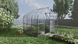KLASIKA GREENHOUSES - Serre de jardin KLASIKA Standard 5m2, 2,5m x 2m, 6 mm avec revêtement en polycarbonate (Avec 1 toit ouvrant automatique) - vignette