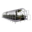 KLASIKA GREENHOUSES - Serre de jardin KLASIKA TUBE 3 x 8 m (24 m²) - 4 mm avec revêtement en polycarbonate KLASIKA GREENHOUSES - vignette