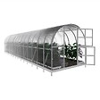 KLASIKA GREENHOUSES - Serre de jardin KLASIKA ARCH 3 x 10 m (30 m²), 4 mm avec revêtement en polycarbonate - vignette