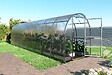 KLASIKA GREENHOUSES - Serre de jardin KLASIKA SLIM 2 x 8 m (16 m²) , 6 mm avec revêtement en polycarbonate - vignette