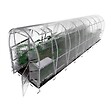 KLASIKA GREENHOUSES - Serre de jardin KLASIKA SLIM 2 x 8 m (16 m²) , 6 mm avec revêtement en polycarbonate - vignette