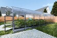 KLASIKA GREENHOUSES - Serre de jardin KLASIKA*DROP 20m2, 2,5m x 8m, 4 mm avec revêtement en polycarbonate - vignette