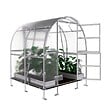 KLASIKA GREENHOUSES - Serre de jardin KLASIKA SLIM 2 x 2 m (4 m²) , 4 mm avec revêtement en polycarbonate - vignette