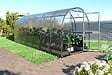 KLASIKA GREENHOUSES - Serre de jardin KLASIKA SLIM 2 x 6 m (12 m²) , 6 mm avec revêtement en polycarbonate - vignette