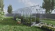 KLASIKA GREENHOUSES - Serre de jardin KLASIKA Standard 15m2, 2,5m x 6m, 6 mm avec revêtement en polycarbonate (Avec 3 toits ouvrants automatiques) - vignette