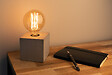 ELEXITY - Ampoule ELEXITY Filament Carbone Globe 95 25W - vignette