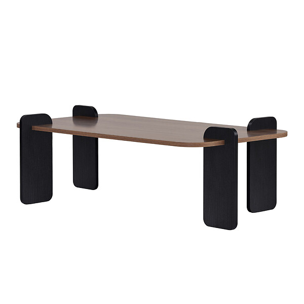 HABITAT ET JARDIN - Table basse en bois "Renard" - 120 x 60 x 35 cm - Marron - large