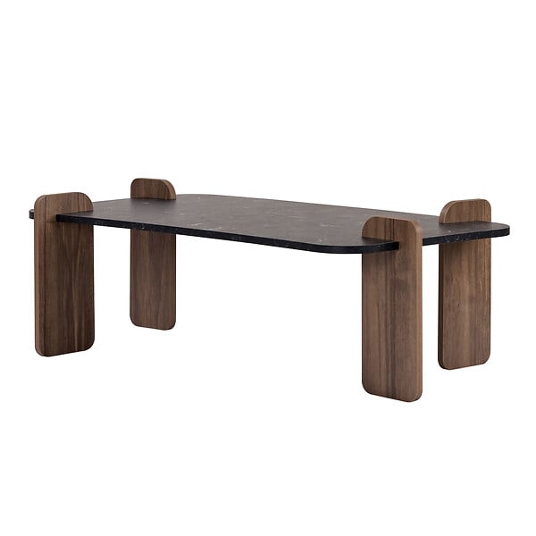 HABITAT ET JARDIN - Table basse en bois "Renard" - 120 x 60 x 35 cm - Noir - large