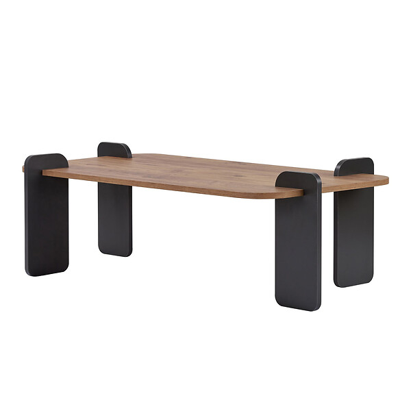 HABITAT ET JARDIN - Table basse en bois "Renard" - 120 x 60 x 35 cm - Marron clair - large