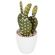 ATMOSPHERA - Plante artificielle Cactus en pot H 18 cm - vignette