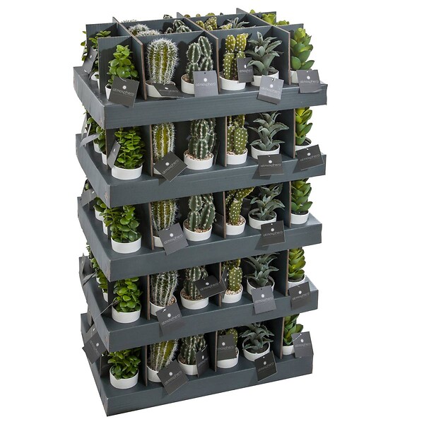 ATMOSPHERA - Plante artificielle Cactus en pot H 18 cm - large