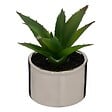 ATMOSPHERA - Plante verte artificielle Pot en céramique H 15 cm - vignette