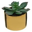 ATMOSPHERA - Plante verte artificielle Pot en céramique H 15 cm - vignette
