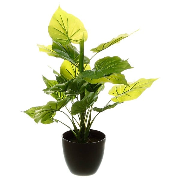ATMOSPHERA - Plante verte artificielle en pot H 45 cm - large