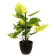 ATMOSPHERA - Plante verte artificielle en pot H 45 cm - vignette