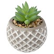 ATMOSPHERA - Plante artificielle Succulente en pot D 8 x H 9 cm - vignette