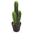 ATMOSPHERA - Plante artificielle Cactus en pot H 38 cm - vignette