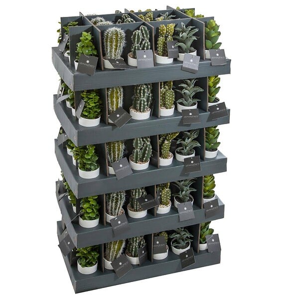 ATMOSPHERA - Plante artificielle Cactus en pot H 18 cm - large
