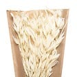 ATMOSPHERA - Bouquet de Tiges et Plantes séchées H 45 cm - vignette