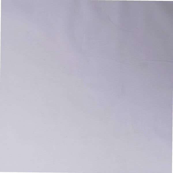 WERKAPRO - Voile d'hivernage blanc 60g-m2  2 x 10m - large