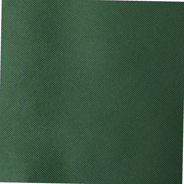 WERKAPRO - Housse plantes 80x100cm 90g/m2  5 pcs - large