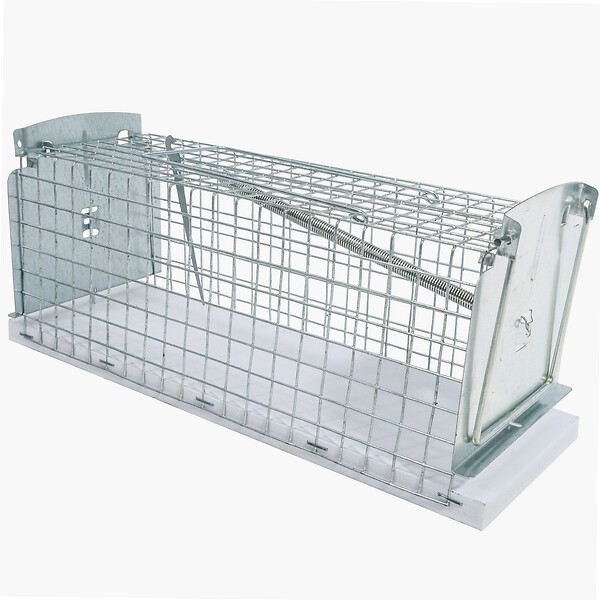 WINDHAGER - Nasse pour rats et souris - large