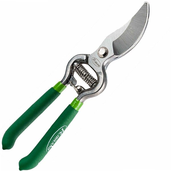 RIBIMEX - Sécateur forgé lames courbes 250 mm - large