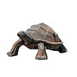 DECORIALE - Petite tortue kubis demi rouille 52x37xh25cm - vignette