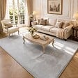 VOUNOT - Tapis de salon poils ras doux antiderapant 200x300cm uni gris - vignette