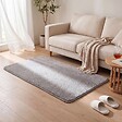 VOUNOT - Tapis de salon poils ras doux antiderapant 80x150cm uni gris - vignette