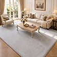 VOUNOT - Tapis de salon poils ras doux antiderapant 240x340cm uni gris - vignette