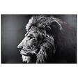 ATMOSPHERA - Toile imprimée lion 78x118cm - vignette