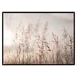 ATMOSPHERA - Toile imprimée "Bianca" 50x70cm - vignette
